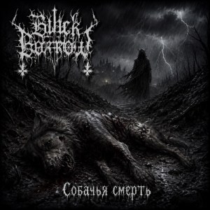 Black Borrow - Сонный паралич
