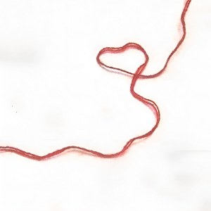 Эрнест Геворгян - Yarn es im yar